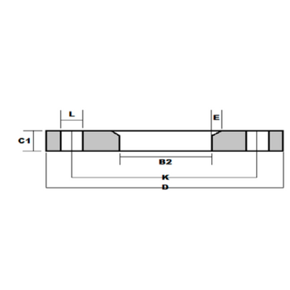 Overschuifflens EN1092-1 TYPE 02 PN40 - Ferranox Metal Center
