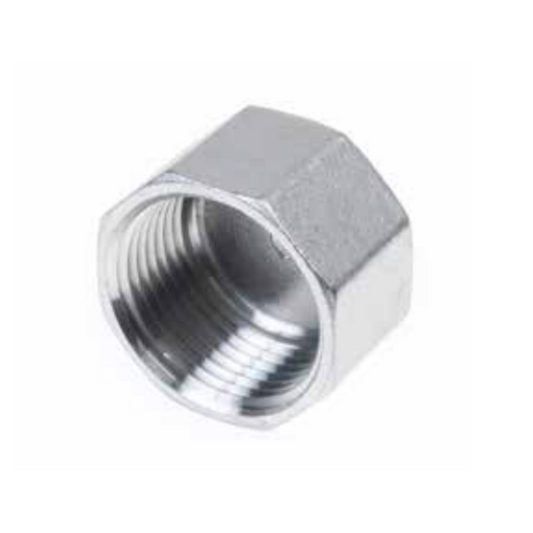 1.4401 - RVS AISI 316 (A4) - 6 & 8 kant kap BSP - Ferranox Metal Center