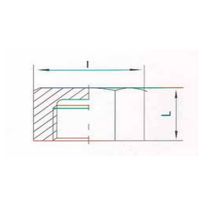 1.4401 - RVS AISI 316 (A4) - 6 & 8 kant kap BSP - Ferranox Metal Center