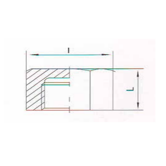 1.4401 - RVS AISI 316 (A4) - 6 & 8 kant kap BSP - Ferranox Metal Center