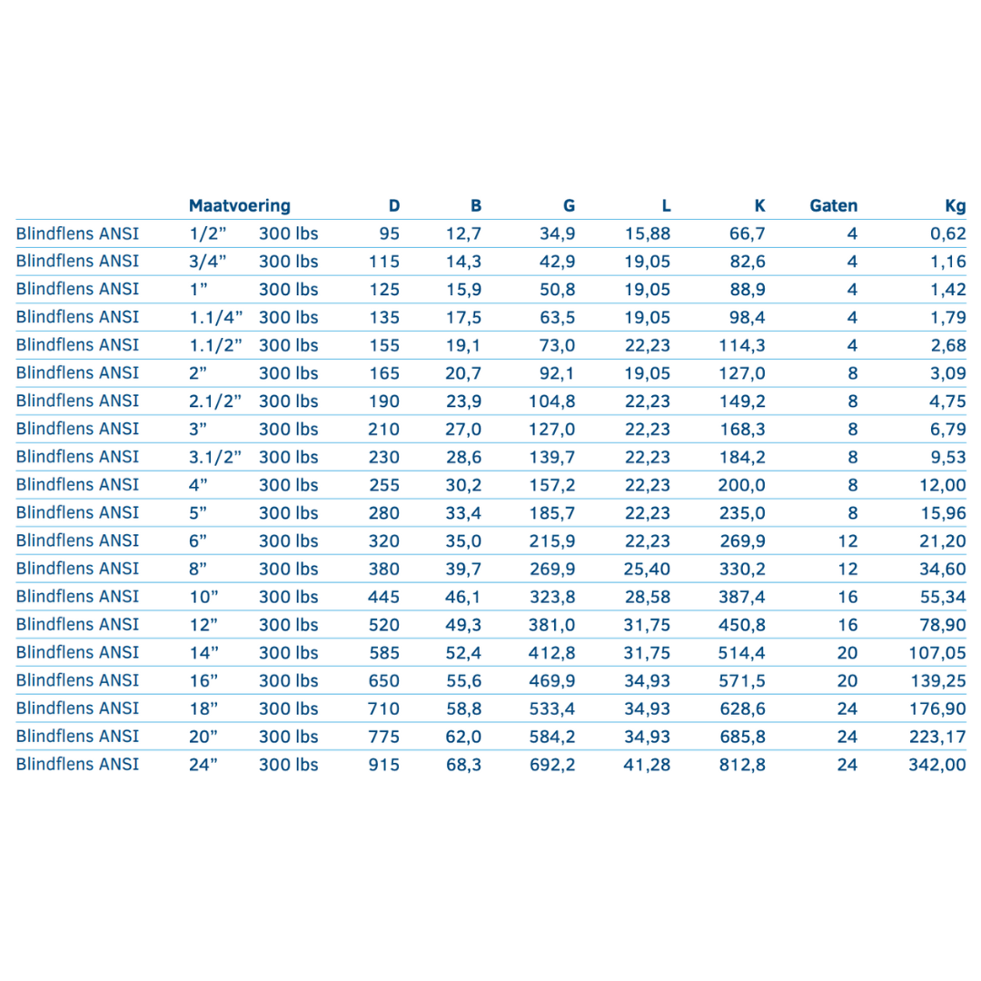 Blindflens ANSI 300 LBS - Ferranox Metal Center