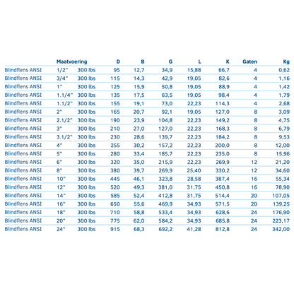 Blindflens ANSI 300 LBS - Ferranox Metal Center