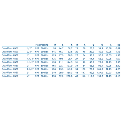 Draadflens ANSI 300 LBS NPT - Ferranox Metal Center