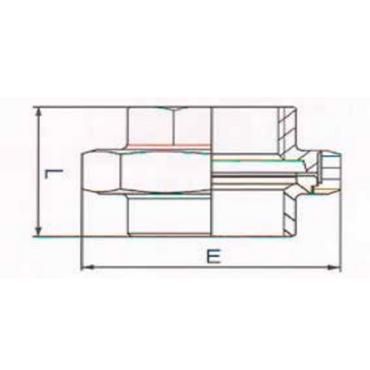 1.4401 - RVS AISI 316 (A4) - Koppeling las-bi conisch/vlak dichtend BSP - Ferranox Metal Center