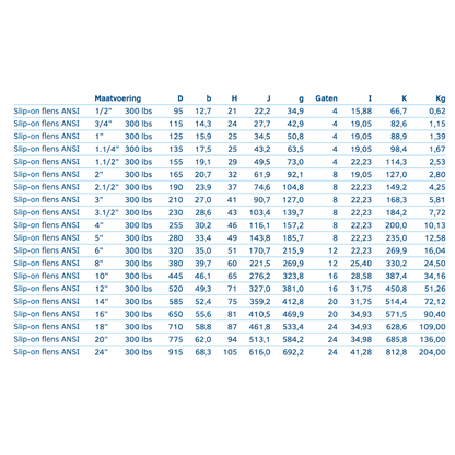 Slip-on flens ANSI 300 LBS - Ferranox Metal Center